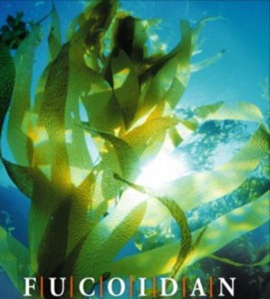 Фукоидан, водоросли. полисахриды